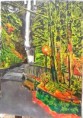 /album/fotogkaleri-theofotistes-zografies-me-meraki7/oregon-saleyei-i-fysi-gyro-jpg/